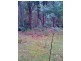 971 Back River Road, Magra TAS 7140