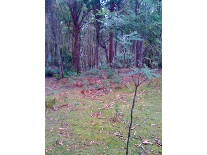 971 Back River Road, Magra TAS 7140