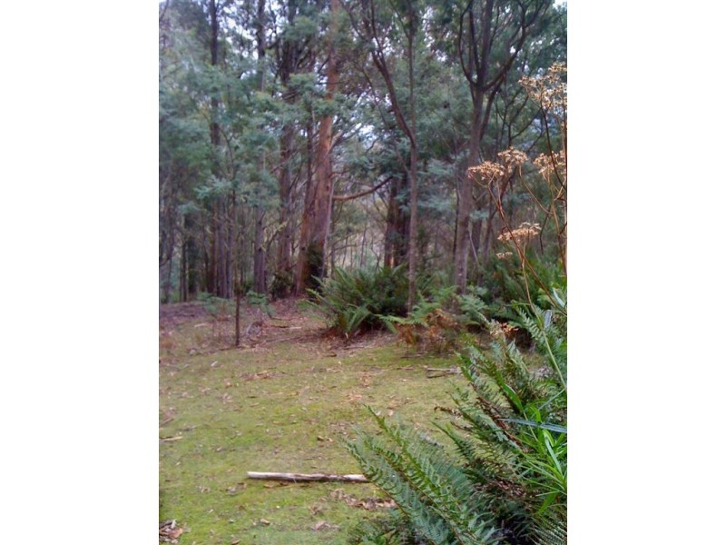 971 Back River Road, Magra TAS 7140