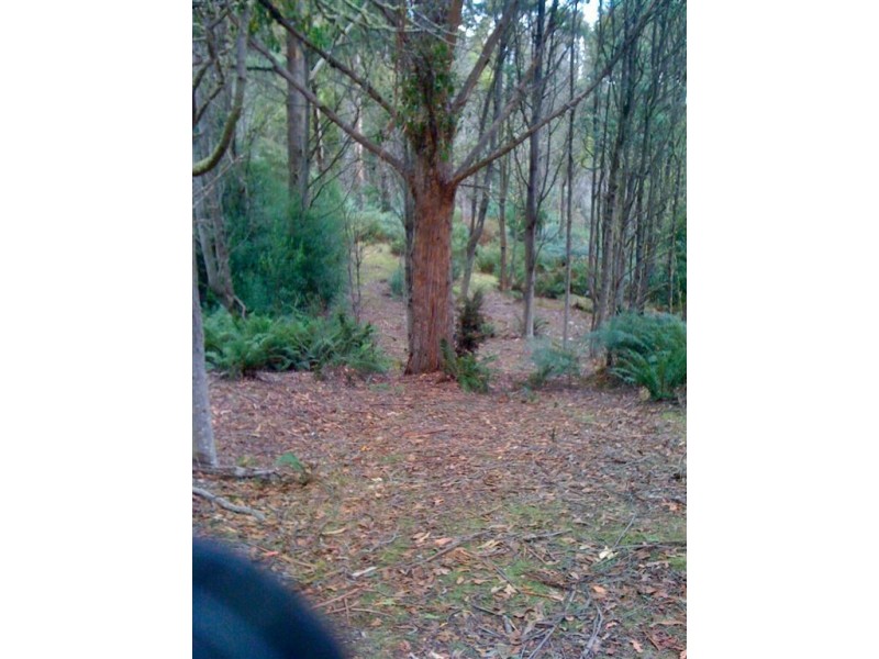971 Back River Road, Magra TAS 7140