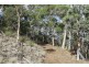 Lot 2/1132 Native Corners Road, Campania TAS 7026