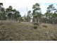 Lot 2/1132 Native Corners Road, Campania TAS 7026