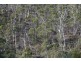 Lot 2/1132 Native Corners Road, Campania TAS 7026