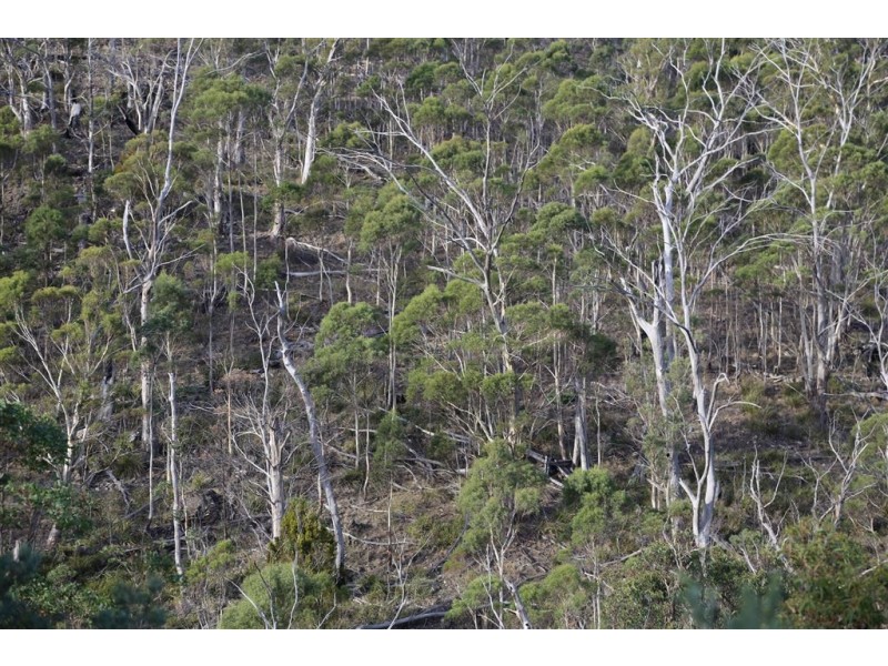 Lot 2/1132 Native Corners Road, Campania TAS 7026