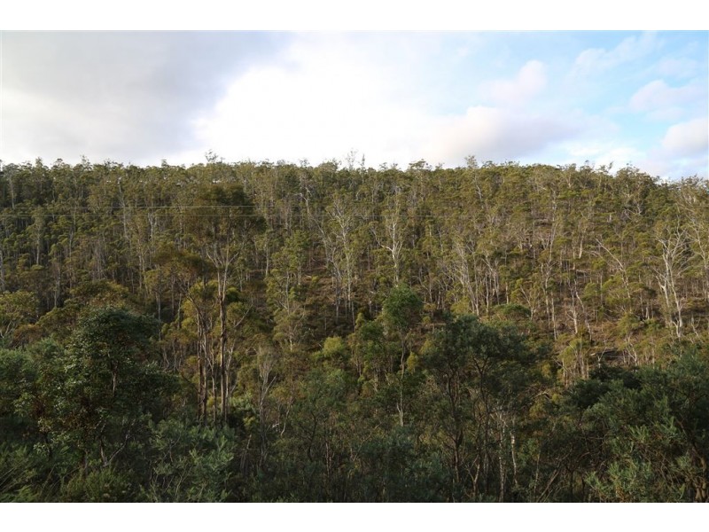 Lot 2/1132 Native Corners Road, Campania TAS 7026