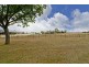 21 Badajos Street, Ross TAS 7209