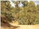 764 Uxbridge Road, Uxbridge TAS 7140
