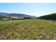 20 Goldsmith Street, Lawitta TAS 7140