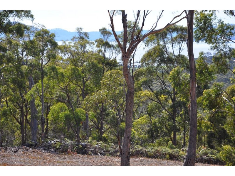00 Heathy Hill Drive, Saltwater River TAS 7186
