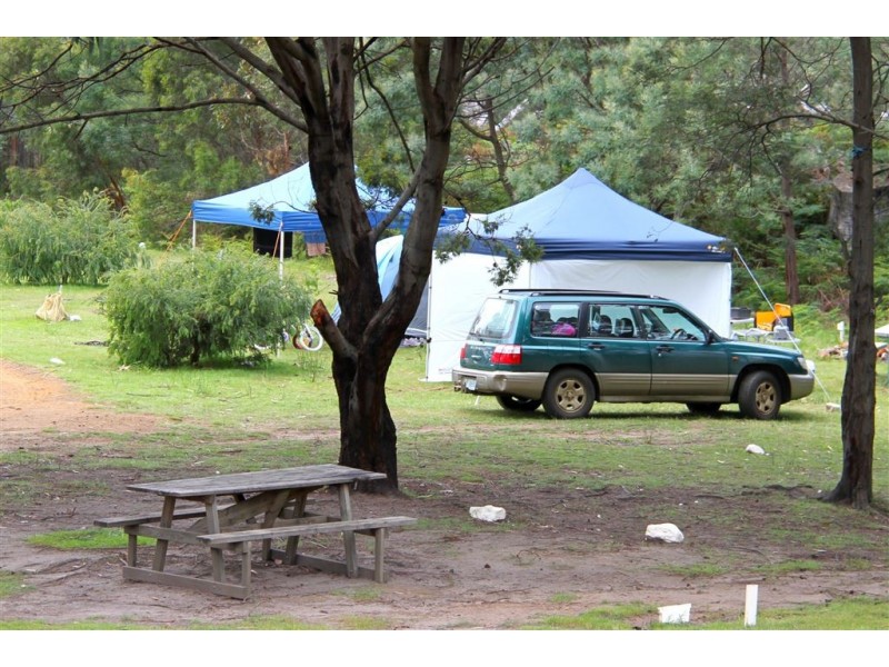 219 Swanston Road, Little Swanport TAS 7190