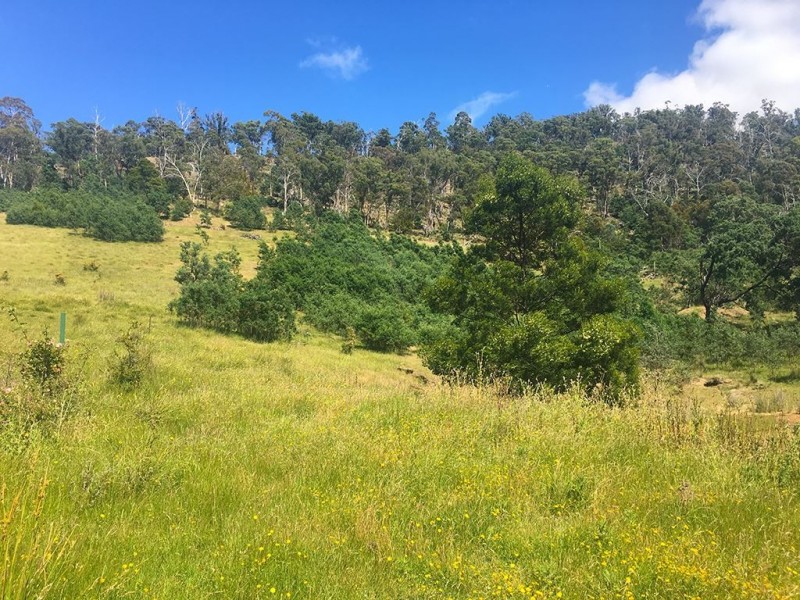 90 Gangells Lane, Bagdad TAS 7030
