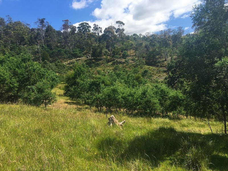 90 Gangells Lane, Bagdad TAS 7030