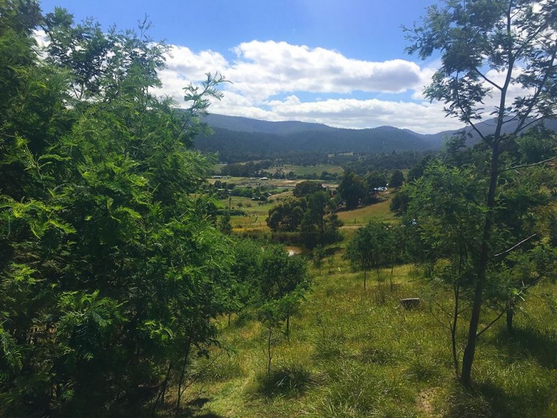 90 Gangells Lane, Bagdad TAS 7030