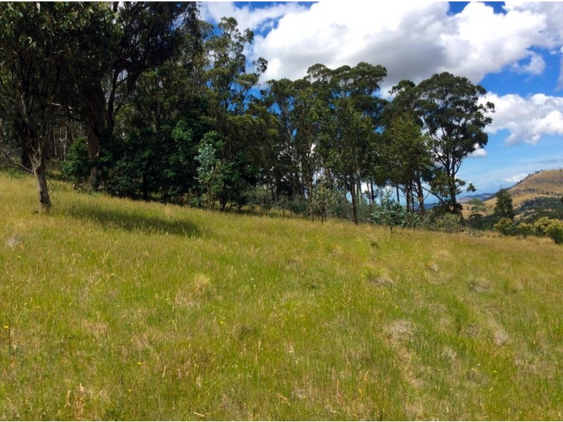 217 Grices Road, Tea Tree TAS 7017