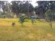 217 Grices Road, Tea Tree TAS 7017