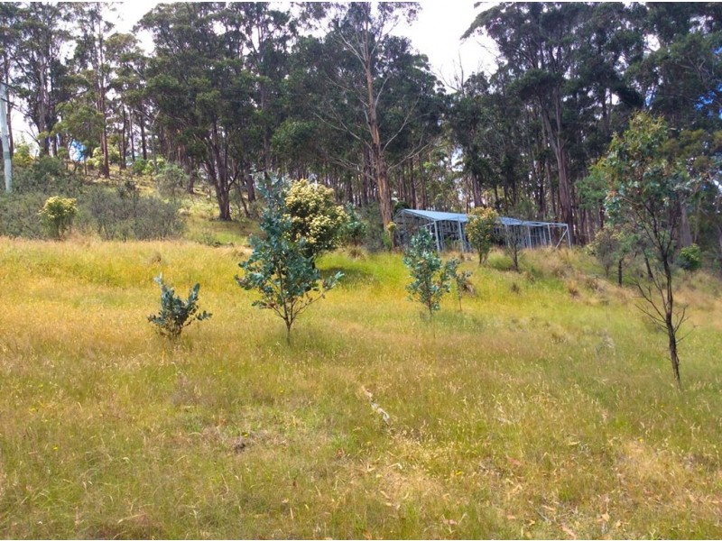 217 Grices Road, Tea Tree TAS 7017
