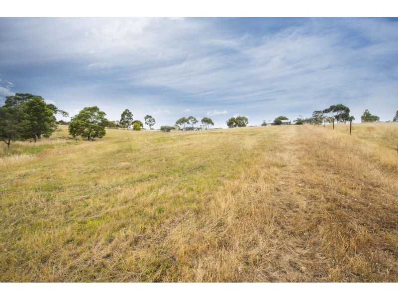 90 Braeview Drive, Old Beach TAS 7017