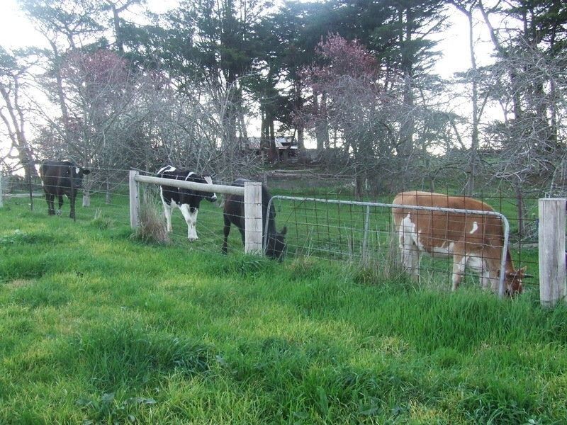 20 Wills Road, Whittlesea VIC 3757