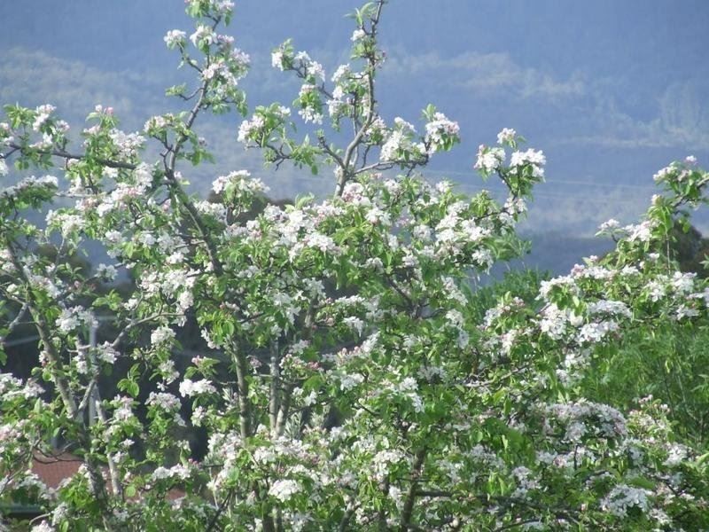 20 Wills Road, Whittlesea VIC 3757