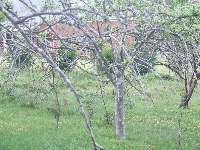 20 Wills Road, Whittlesea VIC 3757