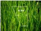 Lot 87 Mavora Place, South Morang VIC 3752