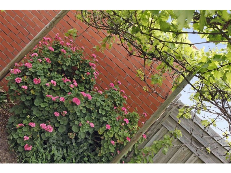 2 Cumberland Crescent, Thomastown VIC 3074