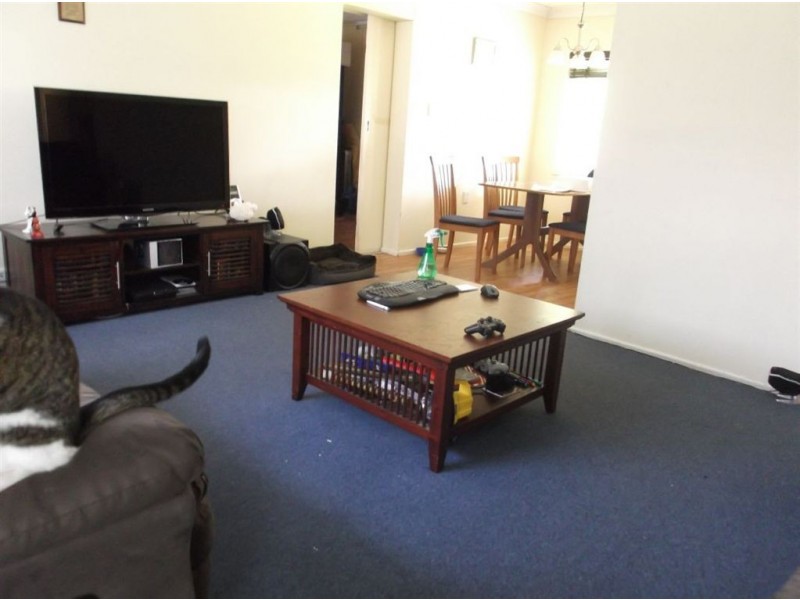 19 Boscawen Street, Rochedale South QLD 4123