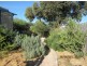 39 Randolph Street, Port Hughes SA 5558