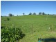 Lot 3 McDougal Road, Neerim South VIC 3831