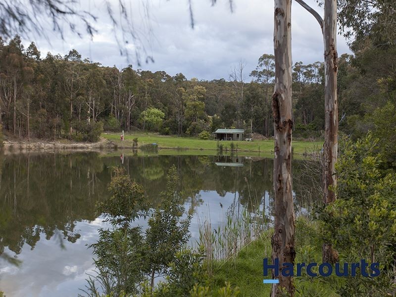 37 Cemetery Road, Trafalgar East VIC 3824