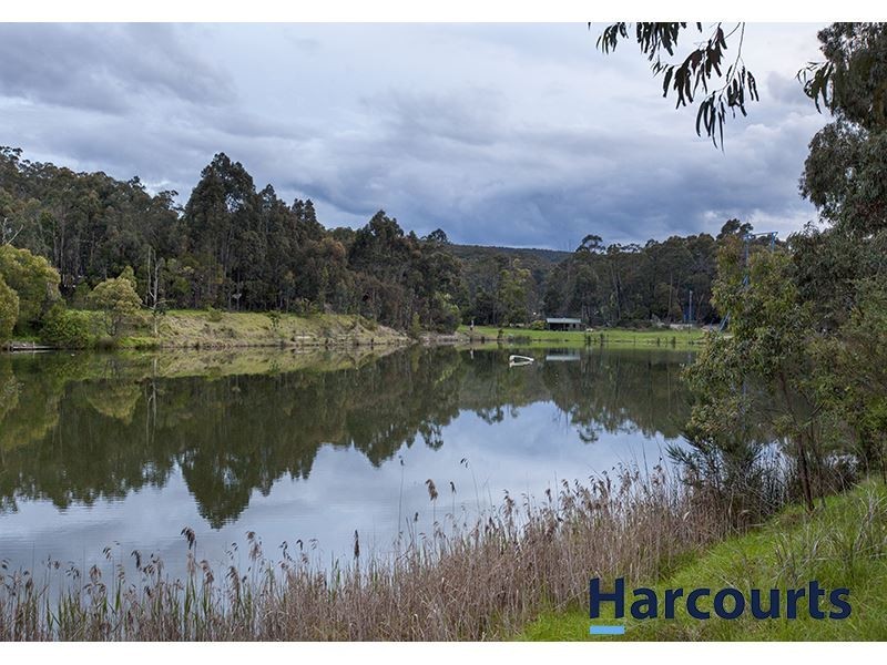 37 Cemetery Road, Trafalgar East VIC 3824