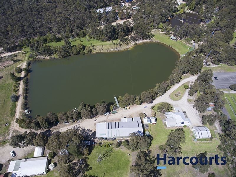 37 Cemetery Road, Trafalgar East VIC 3824