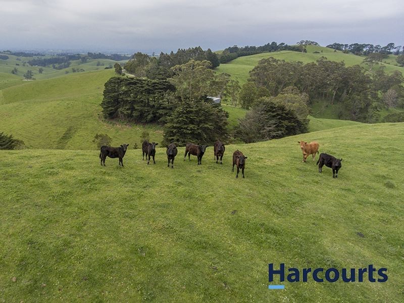90 Grand Ridge Road, Seaview VIC 3821