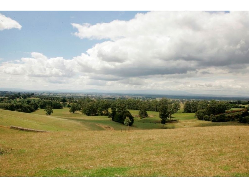 135 Petersons Road, Ellinbank VIC 3821