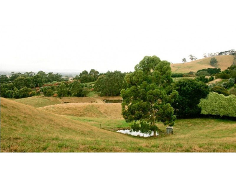 135 Petersons Road, Ellinbank VIC 3821