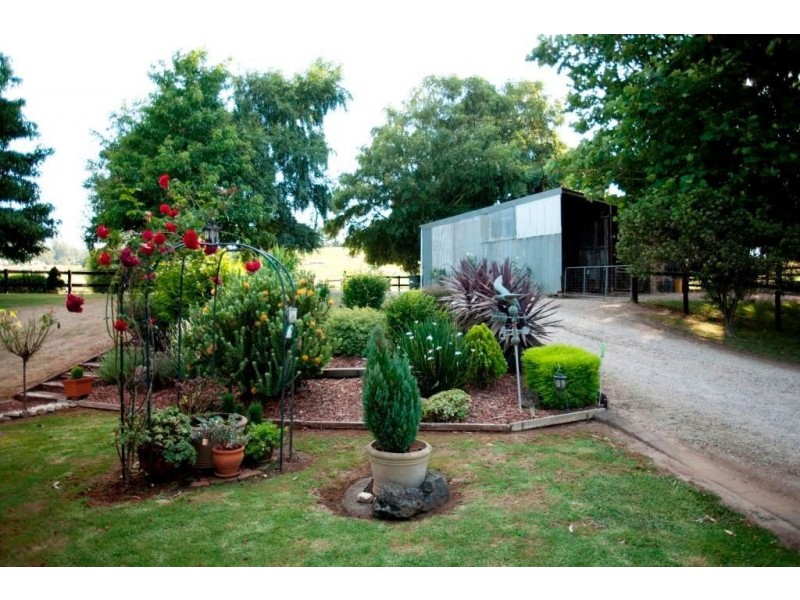 135 Petersons Road, Ellinbank VIC 3821