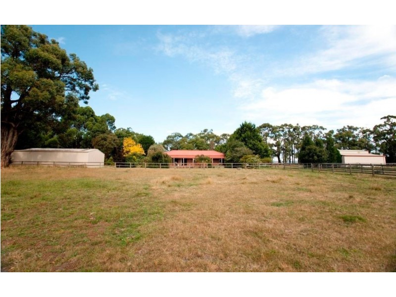 153 Darnum Shady Creek Road, Darnum VIC 3822