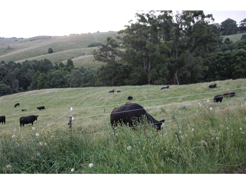 327 Ferndale Road, Ferndale VIC 3821