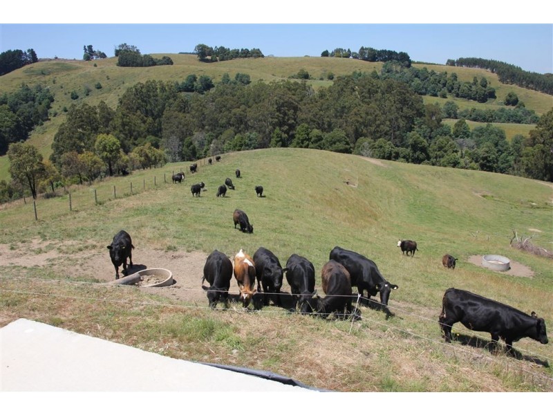 327 Ferndale Road, Ferndale VIC 3821