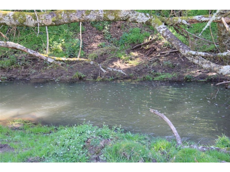 327 Ferndale Road, Ferndale VIC 3821