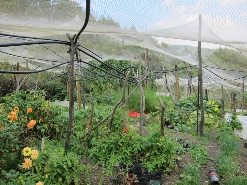 30 Van Ess Road, Ferndale VIC 3821