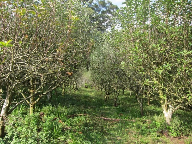 30 Van Ess Road, Ferndale VIC 3821