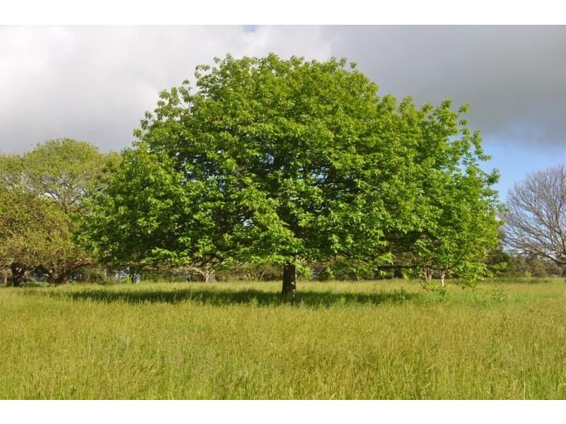 269 Williamsons Road, Nilma North VIC 3821