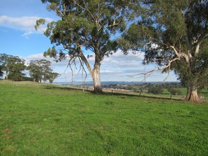 201 Dollarburn Road, Warragul VIC 3820