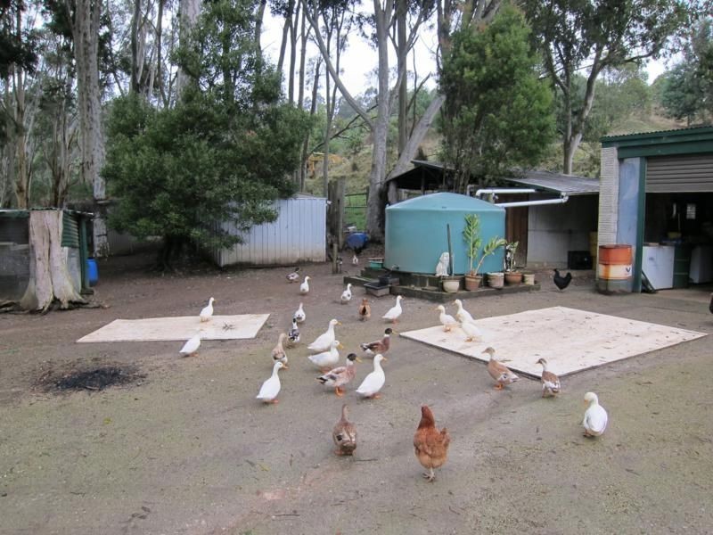 200 Peters Road, Ellinbank VIC 3821