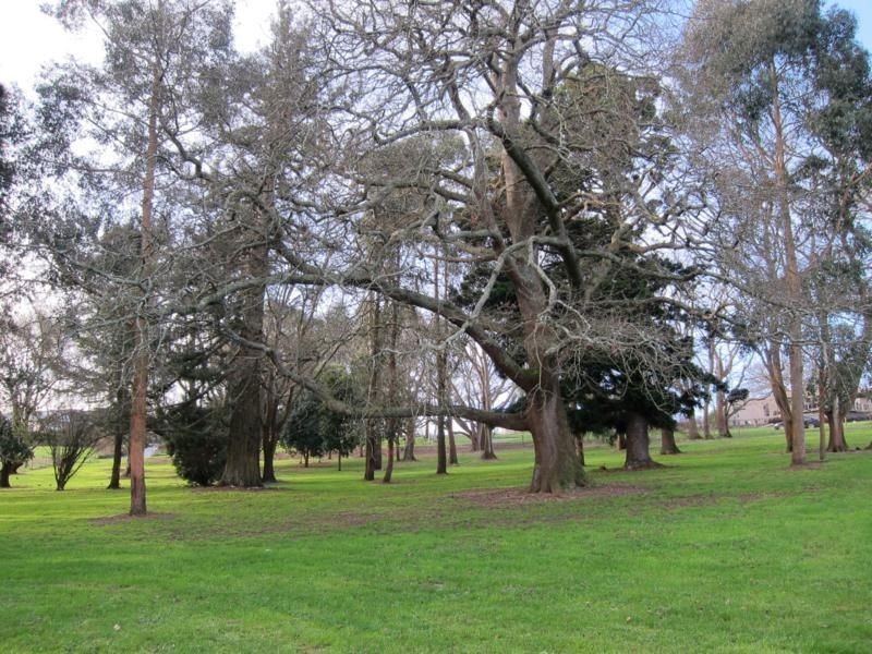 32 Fernery Boulevard, Warragul VIC 3820