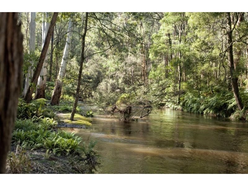 125 School Road, Noojee VIC 3833