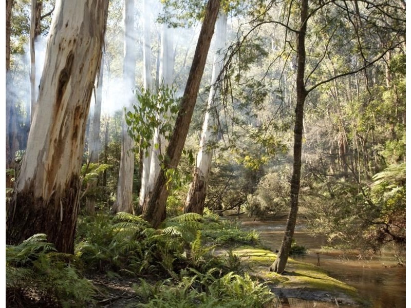 125 School Road, Noojee VIC 3833