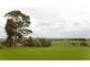 28 Hamono Road, Neerim VIC 3831