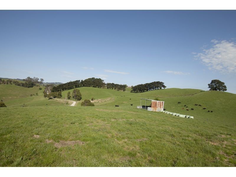 821 Mountain View Road, Mountain View VIC 3988